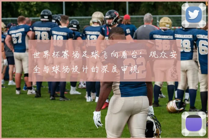 世界杯赛场足球飞向看台:观众安全与球场设计的深度审视