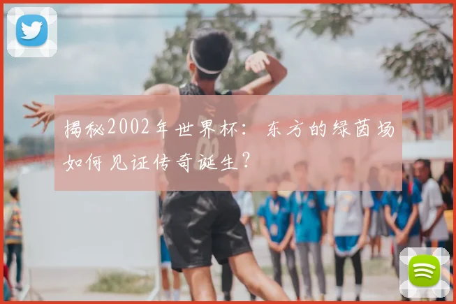 揭秘2002年世界杯：东方的绿茵场如何见证传奇诞生？