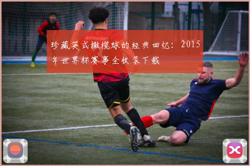 珍藏英式橄榄球的经典回忆:2015年世界杯赛事全收录下载
