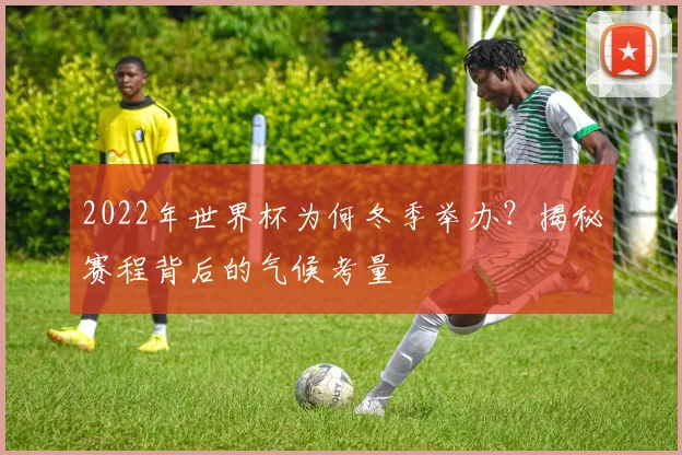 2022年世界杯为何冬季举办？揭秘赛程背后的气候考量