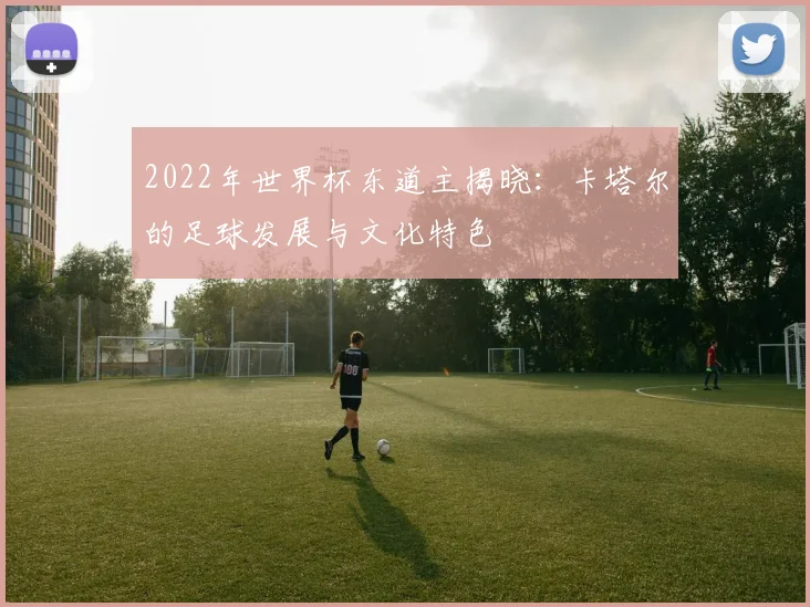 2022年世界杯东道主揭晓：卡塔尔的足球发展与文化特色